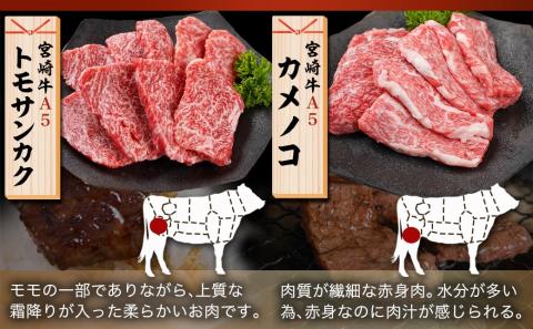 ≪A5ランク≫都城産宮崎牛食べ比べ焼肉4種セット(真空)_AC-I501_【肉 牛肉 焼き肉 焼肉 人気 おすすめ 国産 宮崎県産】