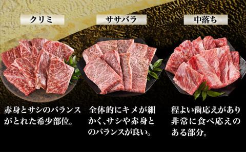 【黒毛和牛】焼肉6種盛り食べ比べセット(真空包装)_33-4201_【肉 牛肉 焼き肉 焼肉 人気 おすすめ 国産 宮崎県産】
