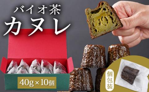 ほんわり渋く香り立つ～和みのバイオ茶カヌレ～10個入≪みやこんじょ特急便≫_AA-C211-Q