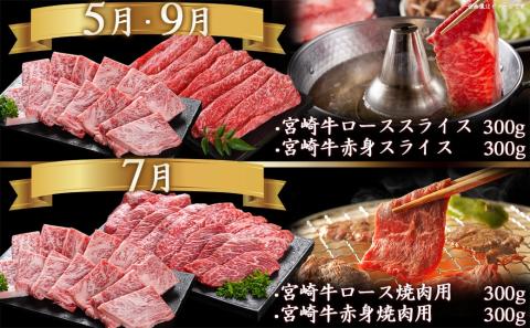 宮崎牛定期便(10ヶ月)_T120（10）-0103