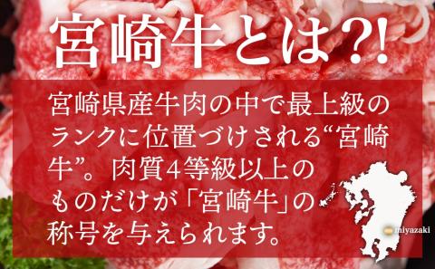 宮崎牛小間切れ800g_12-I602