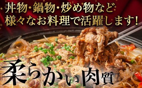 宮崎牛(A5)赤身切り落とし 2.5kg_DI-0102_【肉 牛肉 切り落とし 焼き肉 焼肉 スライス すき焼き しゃぶしゃぶ 人気 おすすめ 国産】