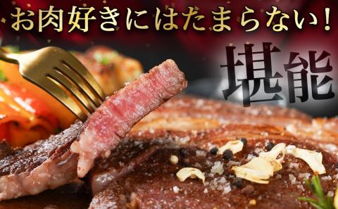 超主役級!宮崎牛リブロースブロック 3kg_MC-0102