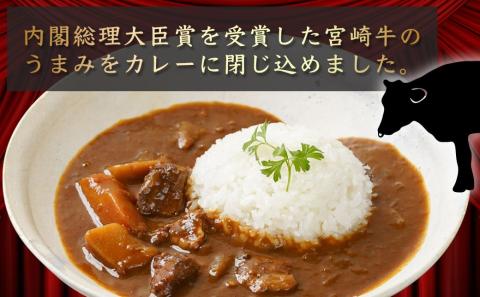 【お試し♪】トプカ☆宮崎牛カレー2食セット※ポスト投函_LA-J902-PF