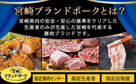 宮崎ブランドポーク切り落とし3kg_12-I501