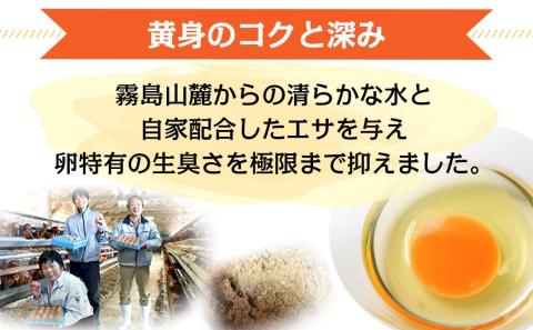 星空が綺麗な町より～「めぐみのたまご」 (MSサイズ)10kg_17-6801