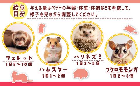 小動物用チキンペースト☆おやつに～エネルギー補給～※ポスト投函_LF-3310