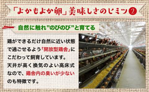 よかもよか卵85個の定期便(4ヶ月)_T60-4-2901