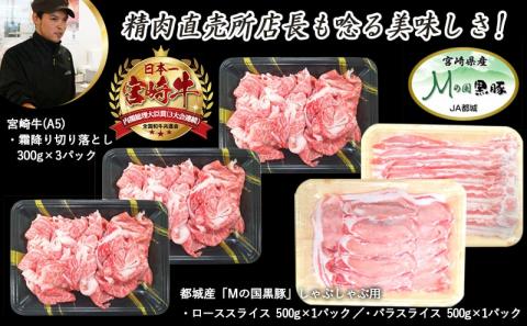 調理法無限大!宮崎牛霜降り(A5)&豚スライス定期便(2ヶ月)_T30（2）-0103