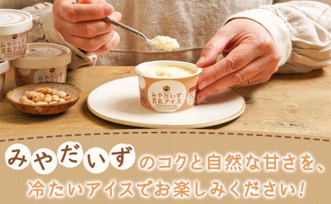 みやだいず豆乳アイスセット＜プレーン＞_AA-J705
