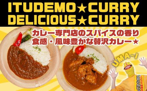 カレー倶楽部ルウのビーフカレー10食&手羽元カレー2食セット_AA-2709