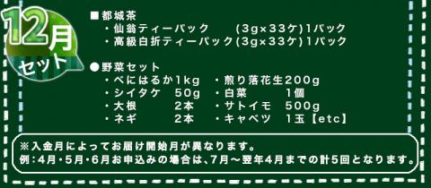 季節に合わせた都城茶と都城野菜のセット定期便(5回)_T40（5）-3701