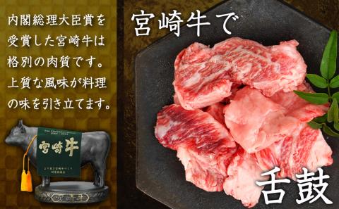 宮崎牛のすじ肉1kg (500g×2パック)_AO-7703