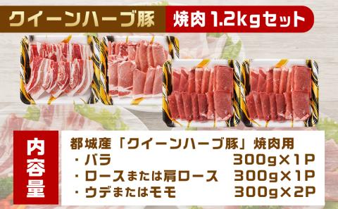 「クイーンハーブ豚」焼肉1.2kgセット_11-2903