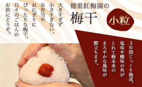 徳重おばあちゃんの3年熟成小粒梅干し1kg_MJ-4904