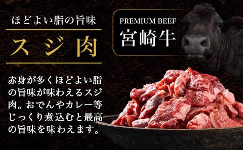 都城産宮崎牛サーロインステーキ400g&牛スジ肉1kg_28-4201