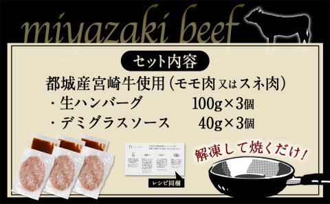 宮崎牛100％使用の生ハンバーグ≪100g×3個≫_AA-7702