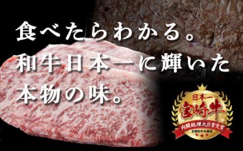 宮崎牛ロースステーキ200g×2枚&極上スパイス「喜」詰替えセット_AC-C002