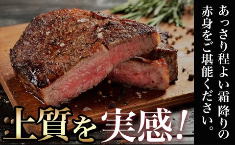 宮崎県産宮崎牛モモステーキ800g(6枚～8枚)_AC-8915