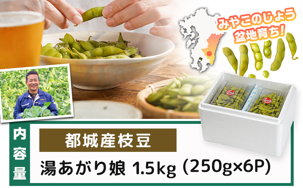 【先行受付】都城産枝豆(湯あがり娘)1.5kg(250g×6P)_11-B402-7
