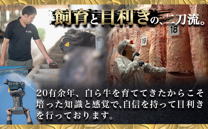 宮崎牛切り落とし500g_12-6503_【肉 牛肉 切り落とし 焼き肉 焼肉 スライス すき焼き しゃぶしゃぶ 人気 おすすめ 国産】