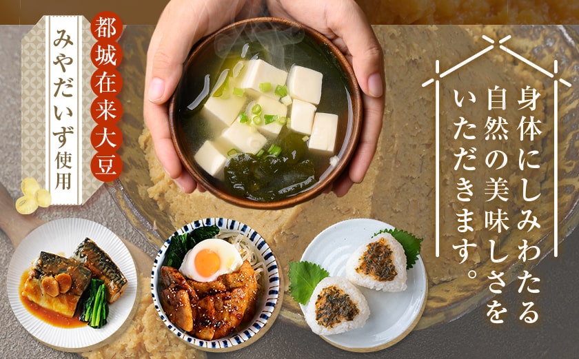 都城在来大豆みやだいず使用「はじめみそ」4kg≪みやこんじょ快速便≫_12-G801-R