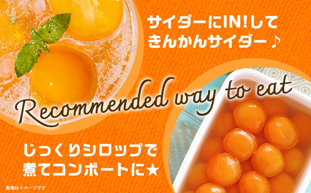 【徳用】内山金柑園のまるかじり氷結きんかん1kg(500g×2P)_12-J702