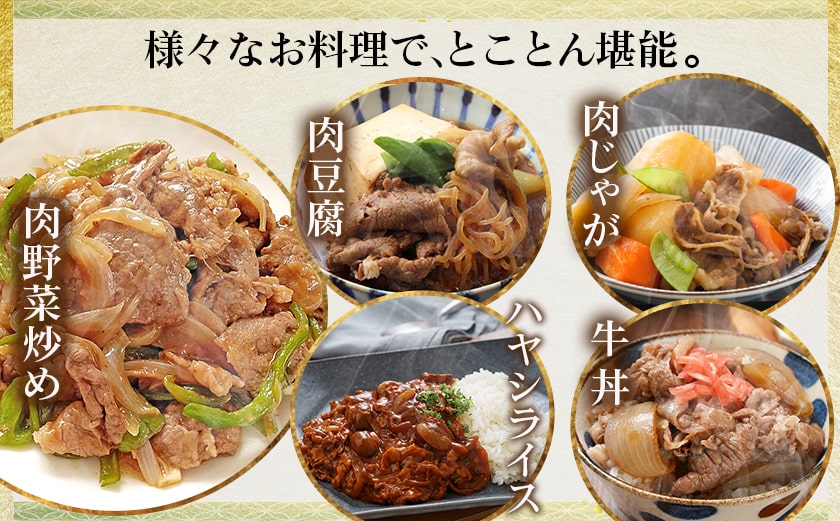 宮崎牛切り落とし【小分け】200g×3_12-J704