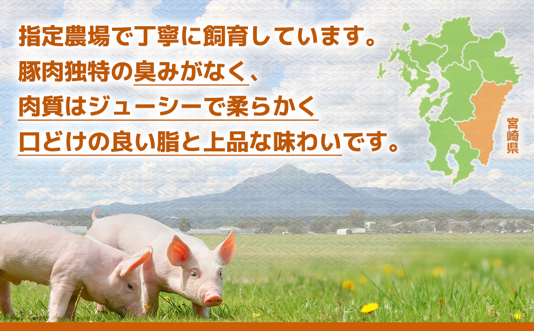 宮崎県産豚肉バラしゃぶしゃぶ用1.2kg_12-M601