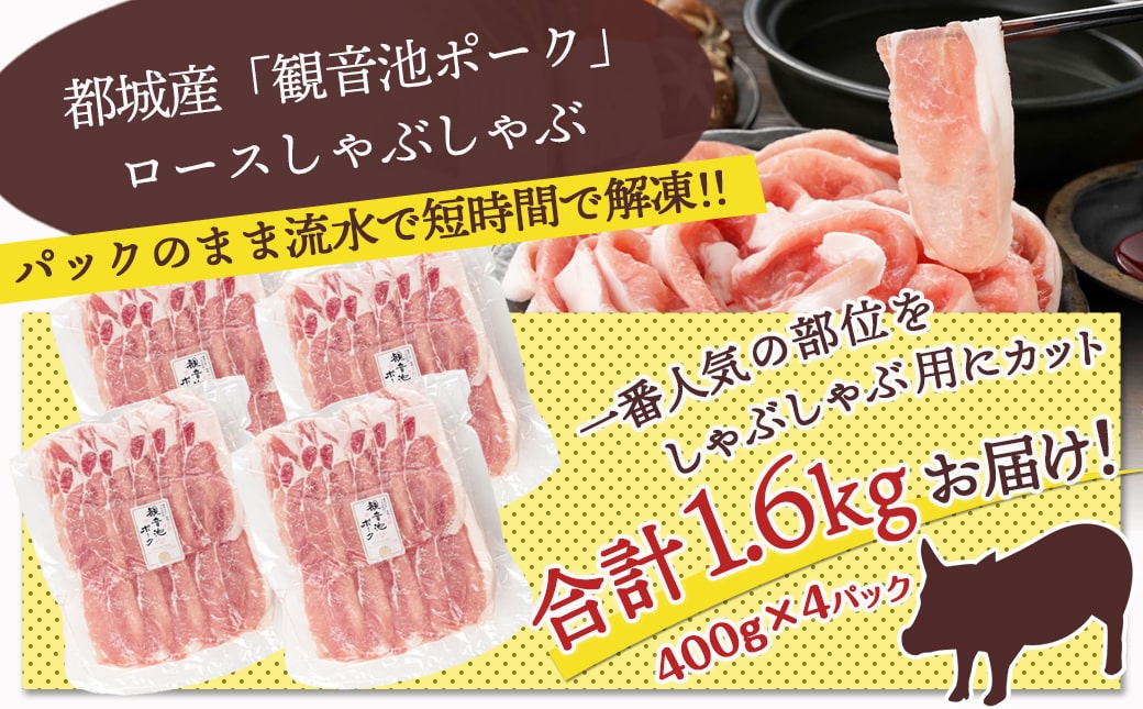 観音池ポーク ロースしゃぶしゃぶ〈全部真空パック〉1.6kg_13-1506