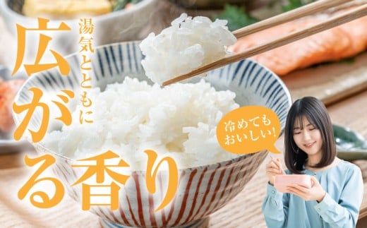 都城産ひのひかり特別栽培米「ぼんちそだち」4kg_13-N501