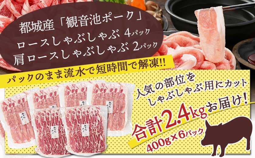 【福袋★2026】観音池ポークロース＆肩ロースしゃぶしゃぶ〈全部真空パック〉2kg+400g_14-1504-F2026