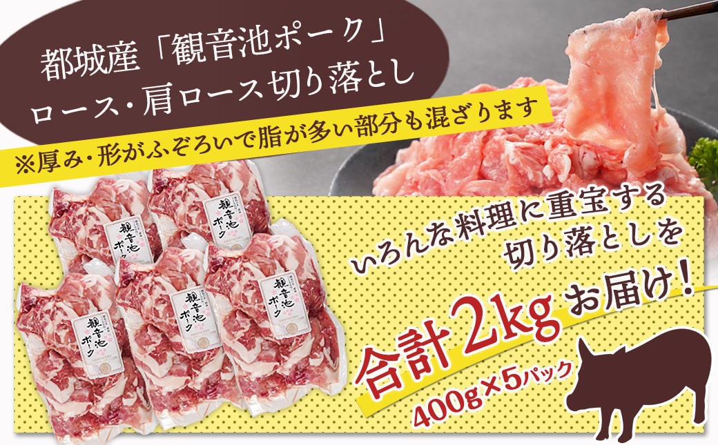 【訳あり】観音池ポーク ロース・肩ロースの切り落とし2kg_14-1506