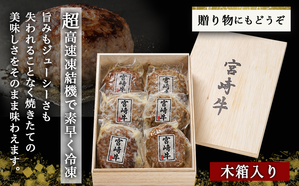 加熱済み☆宮崎牛ハンバーグ6個_14-8405