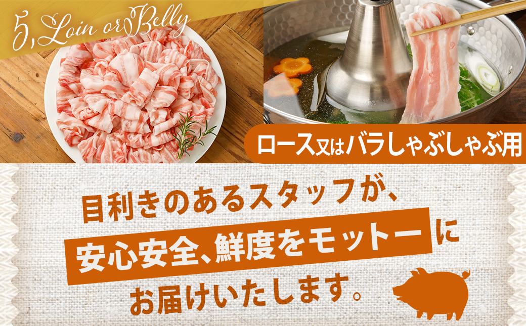 宮崎県産豚肉3.2kgセット_16-M601