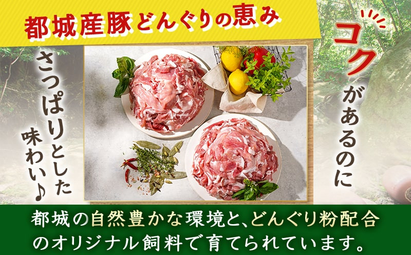 「どんぐりの恵み豚」こま切れ5.1kg_17-1103
