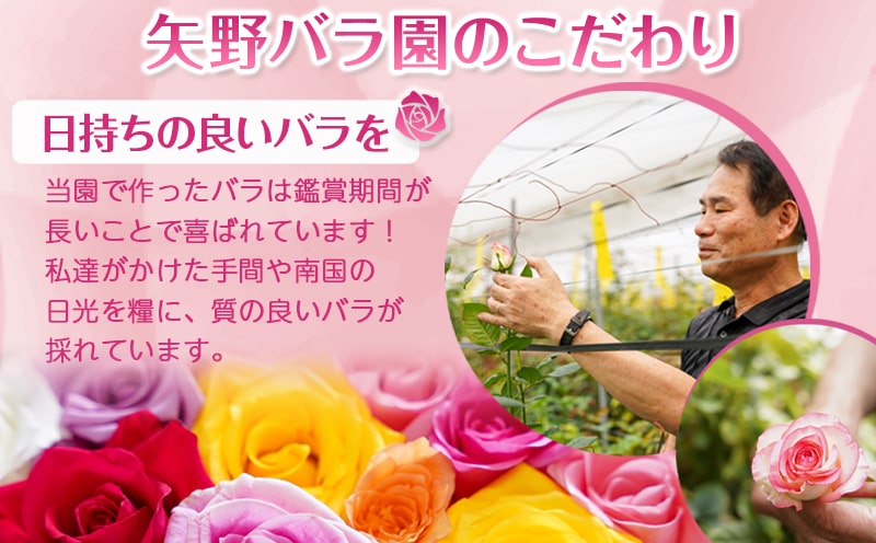 【母の日】バラのアレンジメント20本(黄・オレンジ)≪5月7日～10日お届け≫_17-3303-MG