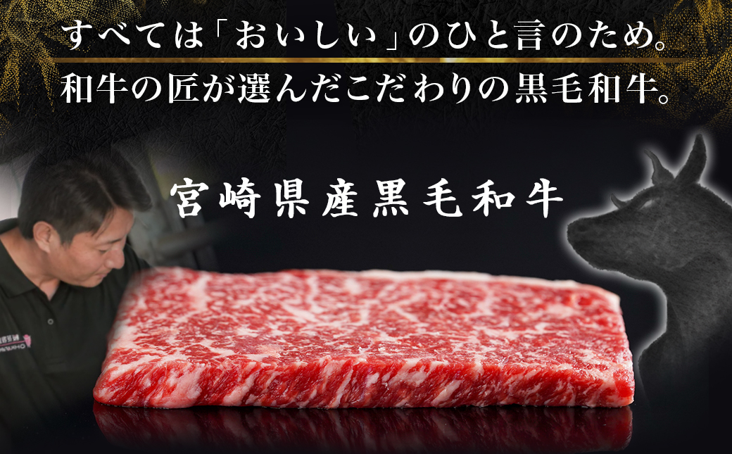宮崎県産黒毛和牛(A4以上) モモステーキ600g (6枚)_17-6509