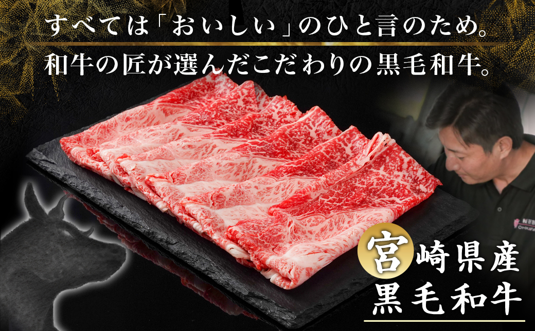 宮崎県産黒毛和牛（A4以上）【赤身霜降り】すきしゃぶ800g (400g×2P)_17-6510
