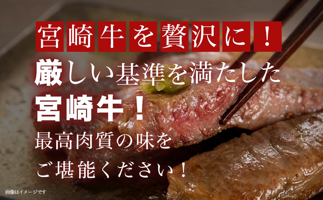 宮崎牛サーロインステーキ200g×2枚_17-8912