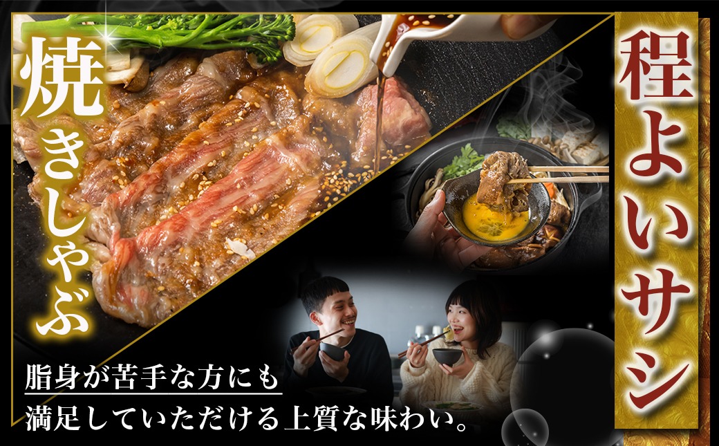 宮崎牛モモスライス(500g×2P)≪みやこんじょ快速便≫_17-N401-R