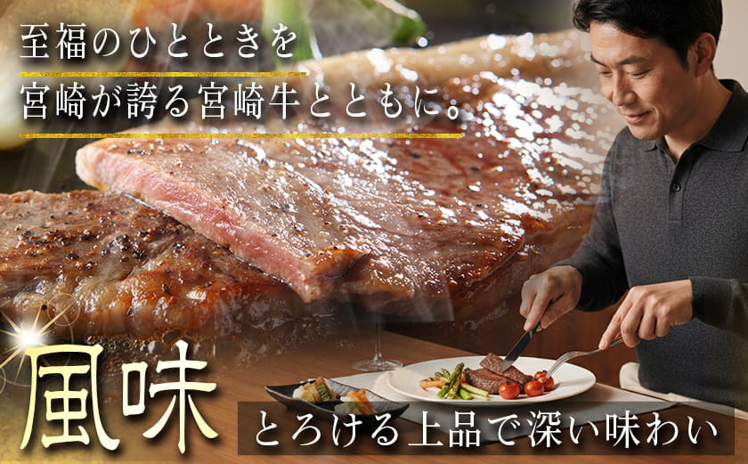 宮崎牛サーロインステーキ200g×2_18-2501