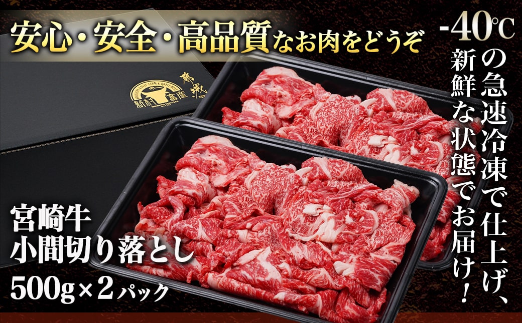宮崎牛こま切り落とし1kg_18-4207_【肉 牛肉 切り落とし 焼き肉 焼肉 スライス すき焼き しゃぶしゃぶ 人気 おすすめ 国産】