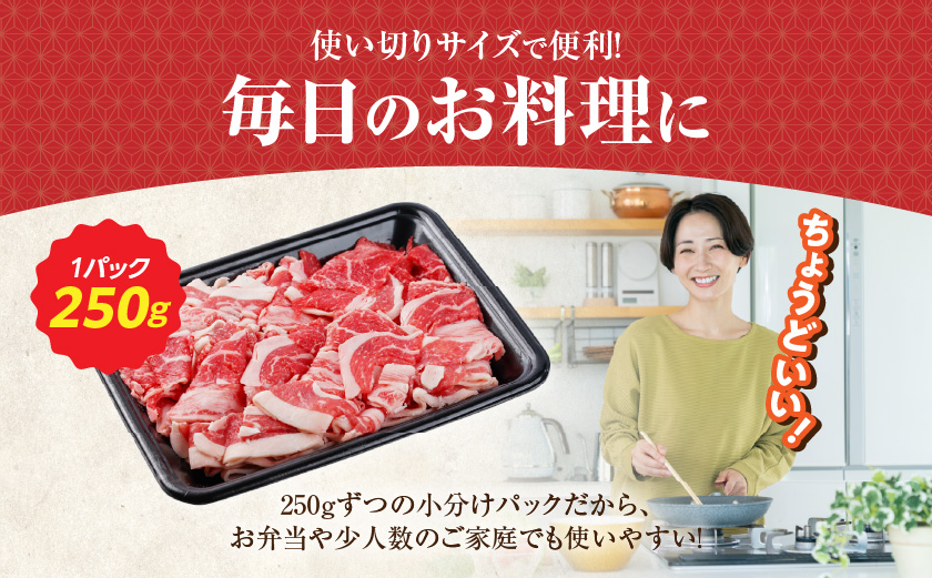【母の日】【黒毛和牛】切り落とし1.5kg(250g×6パック)≪5月7日～10日お届け≫_18-I901-MG