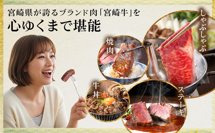 宮崎牛の味わい3種セット_18-J702