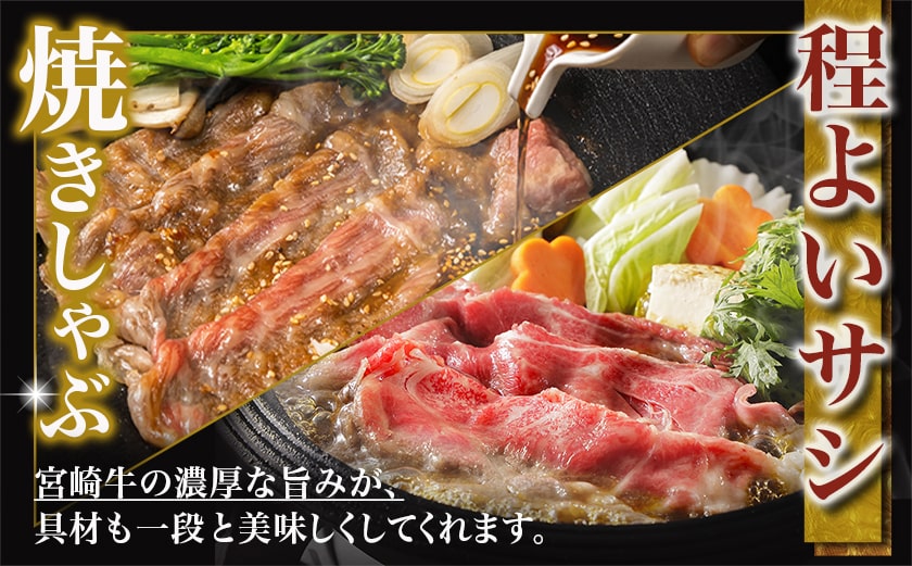 学習院蓁々会コラボ☆宮崎牛ローススライス300g_18-N401