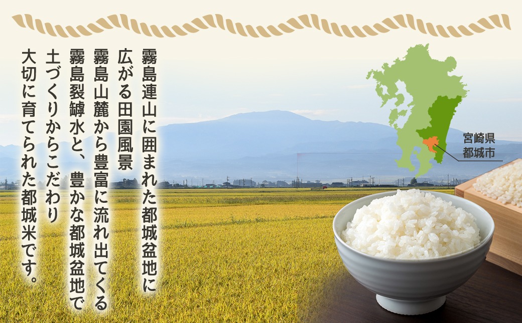 みやこんじょ育ち都城産ひのひかり5kg≪みやこんじょ特急便≫_21-K701-Q