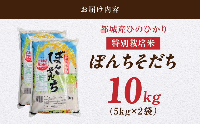 【母の日】都城産ひのひかり特別栽培米「ぼんちそだち」10kg(5kg×2袋)≪5月7日～10日お届け≫_21-N5-001-10kg-MG
