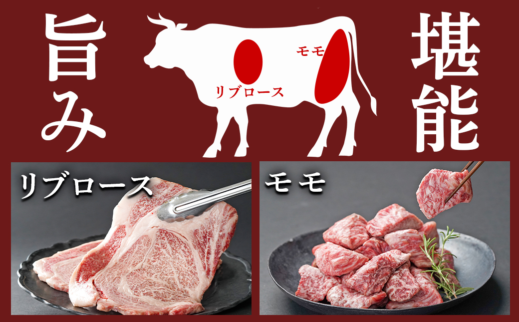 宮崎牛リブロースステーキ300g×2枚&モモサイコロステーキ200g×2袋_22-2501