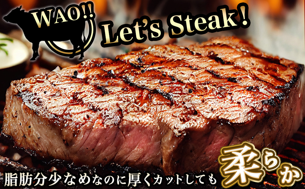 宮崎牛ヒレブロック500g_22-8905